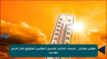 طقس معتدل.. الأرصاد تكشف تفاصيل الطقس المتوقع خلال الأيام القادمة